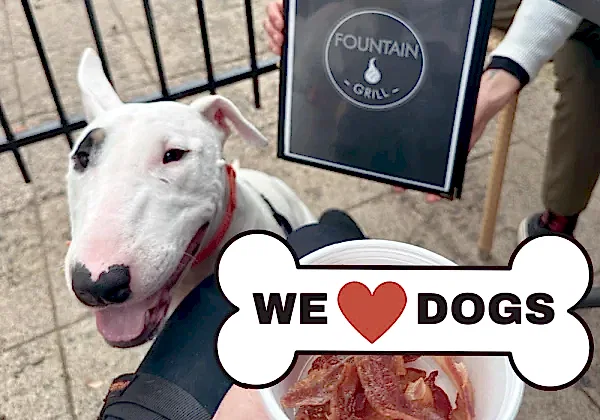 Fountain Grill Dog Love